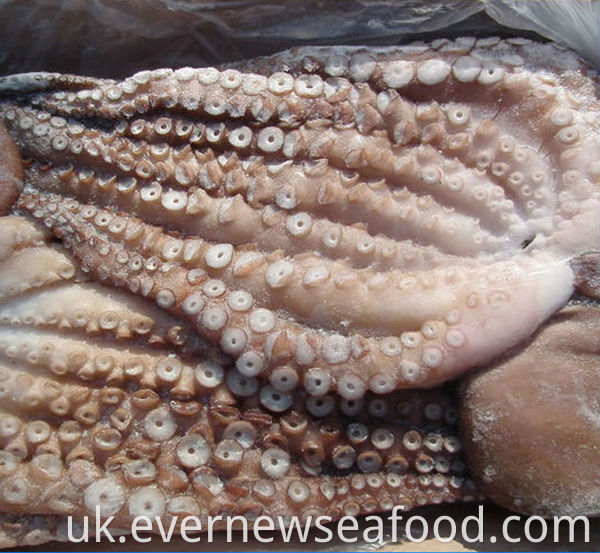 продам замороженого восьминога